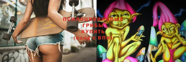 мдпв Гусев