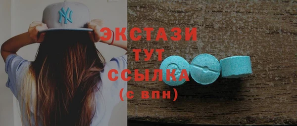 мдпв Гусев