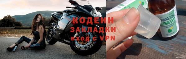 мдпв Гусев