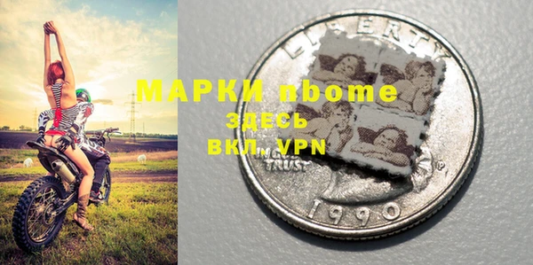 мдпв Гусев
