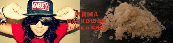 мдпв Гусев