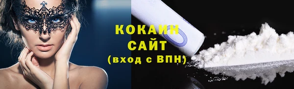 мдпв Гусев