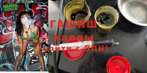 мдпв Гусев