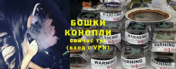 мдпв Гусев