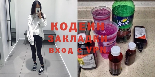 мдпв Гусев