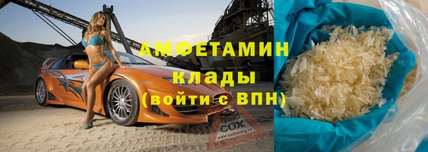 мдпв Гусев