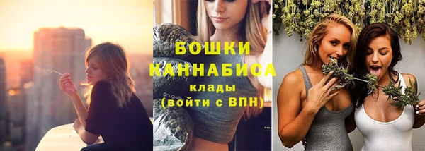 мдпв Гусев