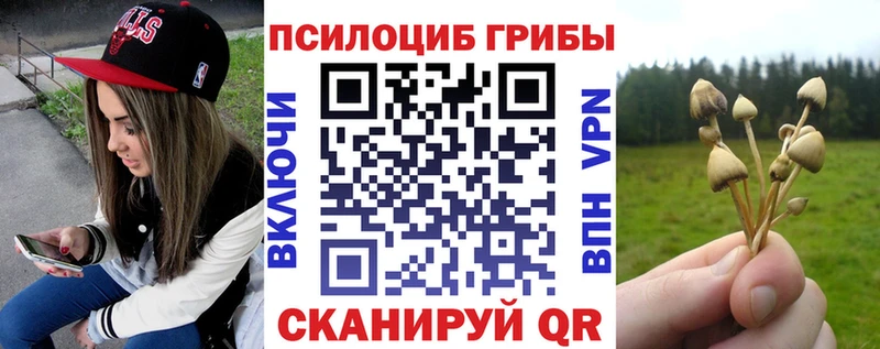 omg зеркало  что такое наркотик  Оренбург  маркетплейс официальный сайт  Псилоцибиновые грибы Psilocybe 