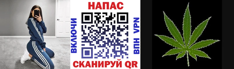 Канабис гибрид  где купить   мега зеркало  Оренбург 